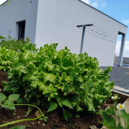 Paraiso Madeira منزل للإقامة