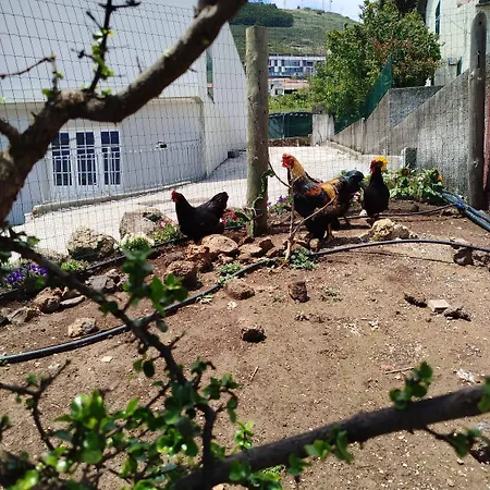 منزل للإقامة Paraiso Madeira Gaula