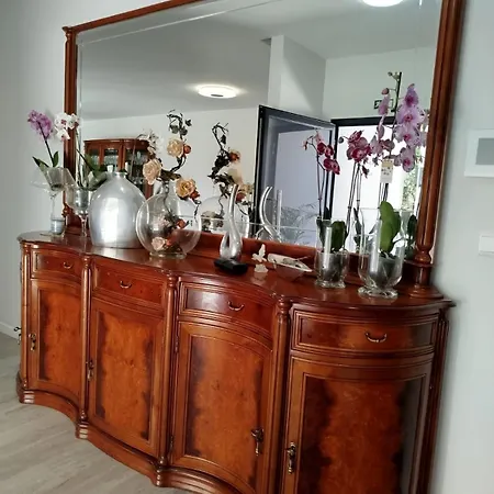 Paraiso Madeira Séjour chez l'habitant *